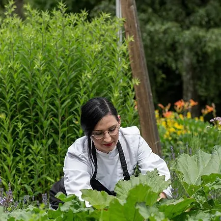 Hotel Restaurant Gaertner Mücke